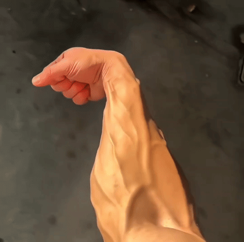 Veins & Forearms Gripper